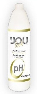 Шампунь стабилизатор цвета - You look Professional Post Color Shampoo