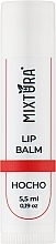 Бальзам для губ - Mixtura Hocho Lip Balm — фото N1