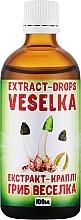 Экстракт-капли "Гриб Веселка" - Bioactive Universe Extract-Drops Veselka — фото N1