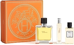 Hermes Terre D`Hermes - Набор (edt/100ml + edt/15ml + sh/gel/40ml) — фото N1