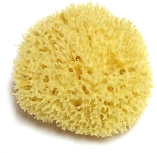 Мочалка 2.5-3 дюйма - Hydrea London Honeycomb Sea Sponge Premium Quality — фото N1