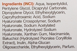 Відновлювальна сироватка з бакучіолом, гіалуроновою кислотою та ніацинамідом - Spani Serum Therapy With Bakuchiol — фото N3