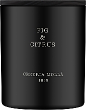 Духи, Парфюмерия, косметика Cereria Molla Fig & Citrus - Ароматическая свеча 