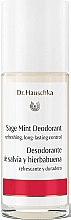 Парфумерія, косметика Дезодорант для тіла "М'ята і шавлія" - Dr. Hauschka Sage Mint Deodorant