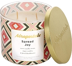 Ароматическая свеча - Aeropostale Spread Joy Fine Fragrance Candle — фото N1
