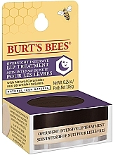 Ночной крем для губ - Burt's Bees Overnight Intensive Lip Treatment — фото N4