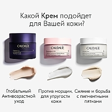 УЦЕНКА Дневной крем для сияния кожи - Caudalie Vinoperfect Instant Brightening Moisturizer Cream * — фото N6