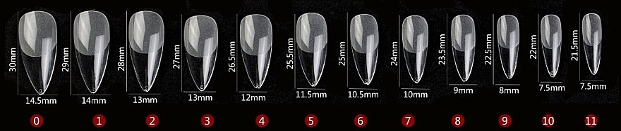 Типсы для ногтей, акриловые, прозрачные, 504 шт. - Reney Cosmetics RX-183 — фото N2