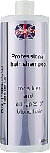 Шампунь для светлых, обесцвеченных и седых волос - Ronney Professional Holo Shine Star Anti-Yellow Shampoo — фото N1