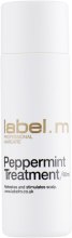 Парфумерія, косметика Кондиціонер - Label.m Peppermint Treatment Conditioner