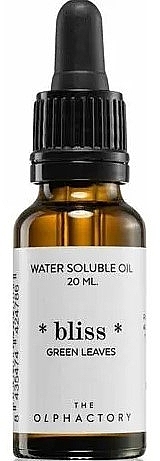 Водорозчинна олія - Ambientair The Olphactory Utopia Leather Water Soluble Oil — фото N1