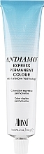 Духи, Парфюмерия, косметика Стойкая краска для волос - Aloxxi Andiamo Express Permanent Color