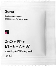 Маска для лица очищающая и отбеливающая Sane с оксидом цинка + витамины РР В1 Е А В7 - Sane Cleansing And Whitening Mask (пробник) — фото N1