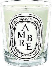 Духи, Парфюмерия, косметика Ароматическая свеча - Diptyque Amber Candle
