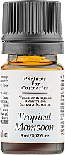 Парфумерія, косметика Посилювач запаху шампунів, бальзамів, масок "Tropical Momsoon" - Parfums For Cosmetics Tropical Momsoon