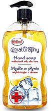 Парфумерія, косметика Антибактеріальне мило "Лимон" з екстрактом алое вера - Bluxcosmetics Naturaphy Hand Soap