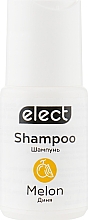 Шампунь для волос "Дыня" - Elect Shampoo Melon (мини) — фото N1