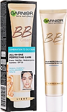 BB-крем для смешанной и жирной кожи - Garnier Skin Naturals BB Cream Combination To Oily Skin — фото N1