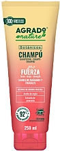 Парфумерія, косметика Шампунь для волосся "Відновлювальний" - Agrado Botanicos Pro Strength Shampoo