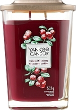 Ароматическая свеча в стакане, два фителя - Yankee Candle Elevation Candied Cranberry — фото N1