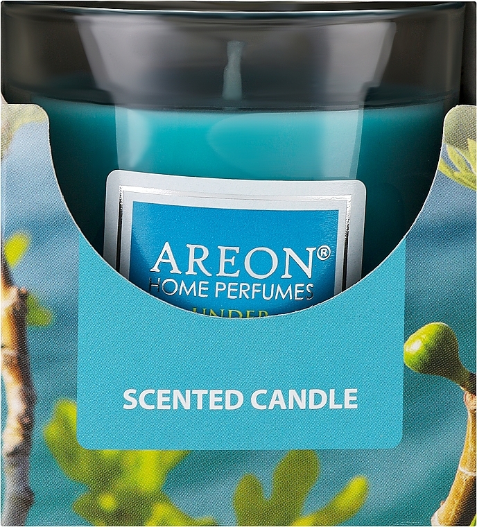 Ароматична свічка в склянці - Areon Home Perfumes Under the Mystic Tree Scented Candle — фото N1