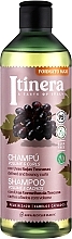 Парфумерія, косметика Шампунь для кучерів і блиску з червоним тосканським виноградом - Itinera Tuscan Red Grapes Shampoo