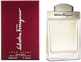 Salvatore Ferragamo pour homme - Туалетна вода — фото N2