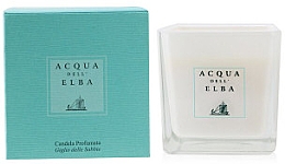 Ароматична свічка у склянці - Acqua Dell Elba Giglio Delle Sabbie Scented Candle — фото N2