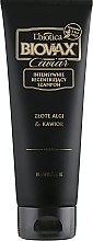 Духи, Парфюмерия, косметика Шампунь для волос "Золотистые водоросли и икра" - L'biotica Glamour Caviar
