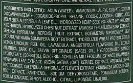 Себонормалізувальний шампунь з олією чайного дерева - Emmebi Italia BioNatural Mineral Treatment Sebum-Normalizing Shampoo — фото N6
