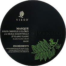 Маска для фарбованого волосся з іланг-ілангом - Vieso Ylang Ylang Essence Color Hair Mask — фото N1