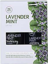 Духи, Парфюмерия, косметика Набор - Paul Mitchell Теа Tree Duo Lavender Mint Gift Set (shm/300ml + sprey/cond/200ml)