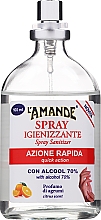 Дезінфікувальний спрей з ароматом цитрусових - L'Amande Spray Sanitizer Citrus Scent — фото N1