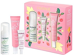 Парфумерія, косметика УЦІНКА! Набір - Caudalie Vinosource Les Indispensables Hydratation (clean/mousse/50ml +serum/10ml + cream/sorbet/40ml) *