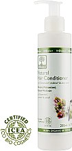 Кондиционер-ополаскиватель с Диктамелией, мальвой и алоэ-вера - BIOselect Natural Hair Conditioner — фото N1