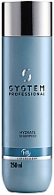 Парфумерія, косметика Зволожувальний шампунь для волосся - System Professional Lipidcode Hydrate Shampoo H1
