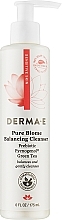 Збалансований очищувальний засіб - Derma E Pure Biome Balancing Face Cleanser — фото N1