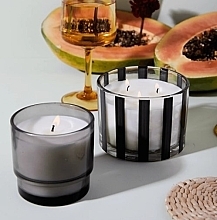 Ароматична свічка у склянці - Paddywax Al Fresco Glass Candle Palo Santo & Sage — фото N2