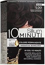 Безаммиачная стойкая крем-краска "Всего за 10 минут» - Silium Permanent Color In Just 10 Minutes — фото N1