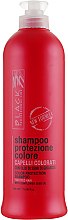 Шампунь для захисту кольору з екстрактом соняшнику - Black Professional Colour Protection Shampoo — фото N1