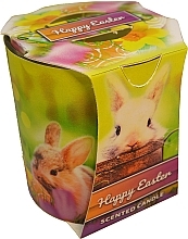 Ароматическая свеча "Пасхальный заяц" - Admit Verona Easter Bunny — фото N1