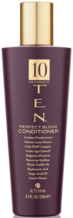 Кондиционер "Совершенная формула" - Alterna TEN Perfect Blend Conditioner