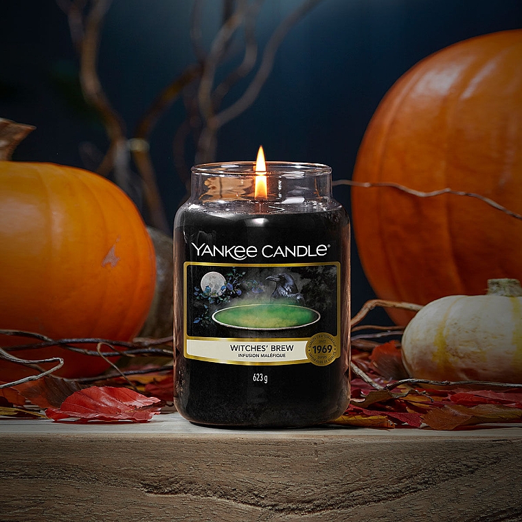 Ароматична свічка у скляній банці - Yankee Candle Witches Brew Jar Candle — фото N2