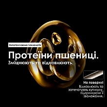 Профессиональный шампунь для сухих и поврежденных волос - L'Oreal Professionnel Serie Expert Absolut Repair Gold Quinoa + Protein Shampoo (рефил) — фото N3