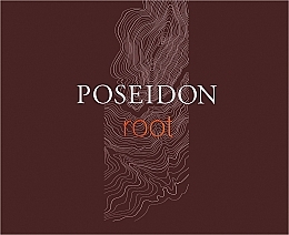 Instituto Espanol Poseidon Root - Набор (edt/100ml + sh/gel/100ml + ash/lot/100ml) — фото N1