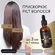 Набор "Профессиональный уход за волосами" - LUM (shm/250ml + h/balm/250ml + h/mask/200ml + hair/coc/50ml) — фото N4