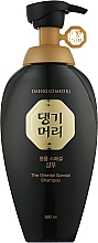 Парфумерія, косметика Шампунь проти випадання волосся - Daeng Gi Meo Ri Oriental Special Shampoo
