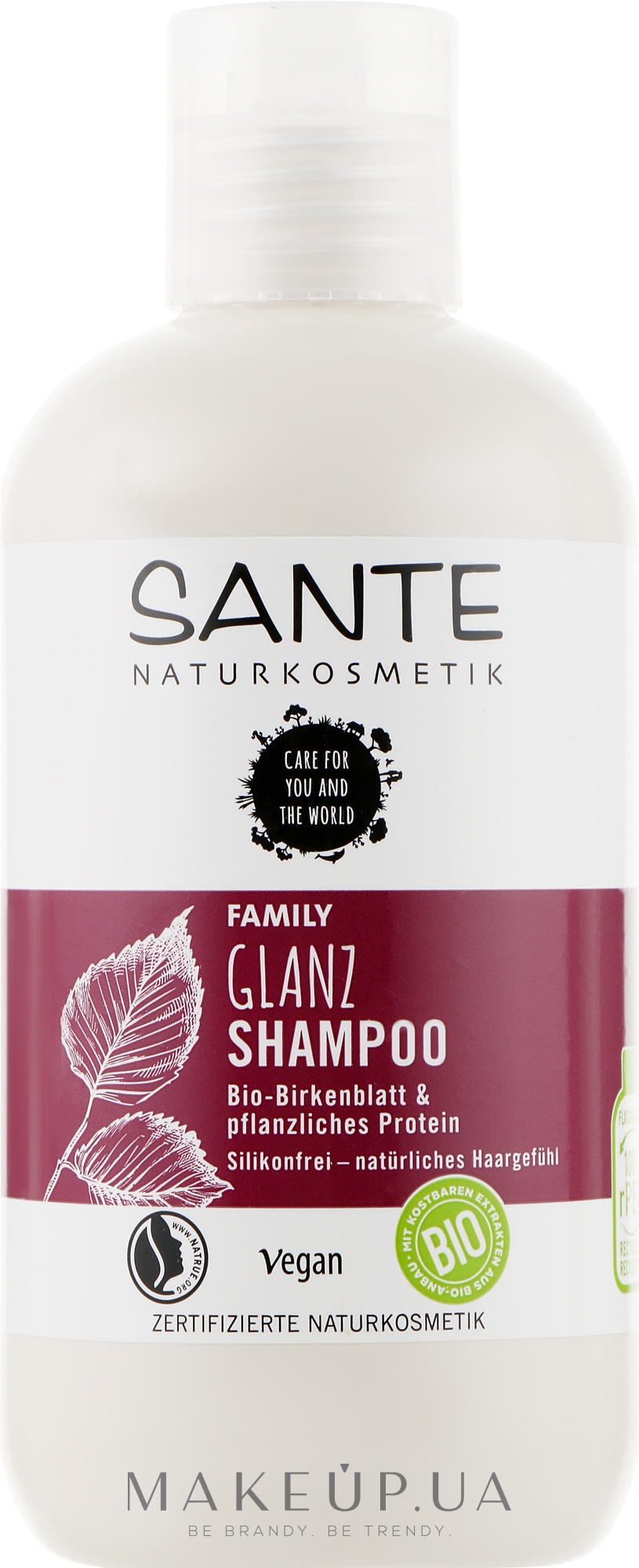 Биошампунь для блеска волос «Растительные протеины и березовые листья» - Sante Family Organic Birch Leaf & Plant Protein Shine Shampoo — фото 250ml
