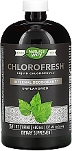 Пищевая добавка "Жидкий хлорофилл", без добавок - Nature’s Way Chlorofresh Liquid Chlorophyll  — фото N1