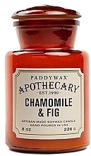 Духи, Парфюмерия, косметика Ароматическая свеча в банке - Paddywax Apothecary Artisan Made Soywax Candle Chamomile & Fig